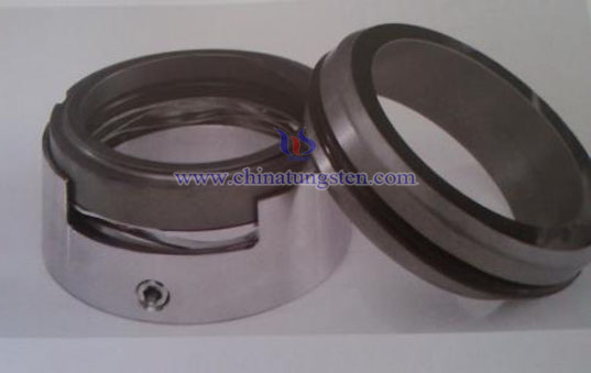 Silicon Carbide Seals Picture